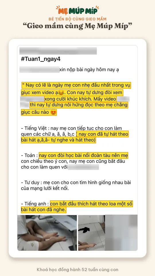 Bé tiến bộ cùng gieo mầm