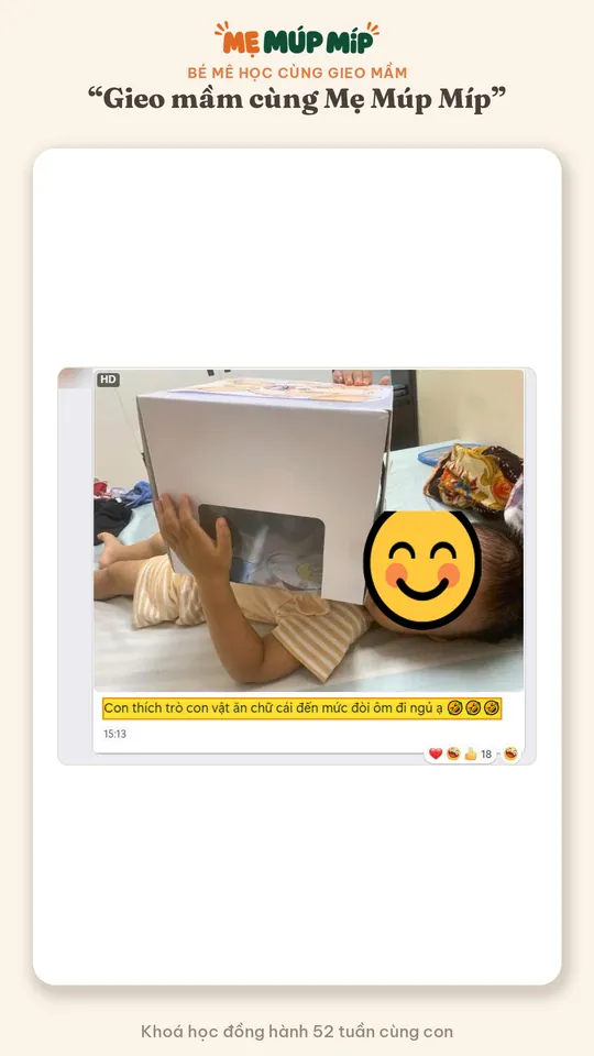 Bé mê học cùng gieo mầm